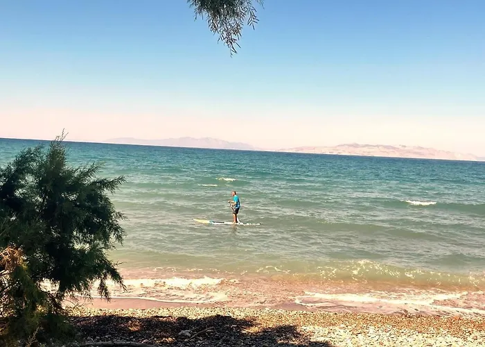 Ramann, Rhodes فيلة