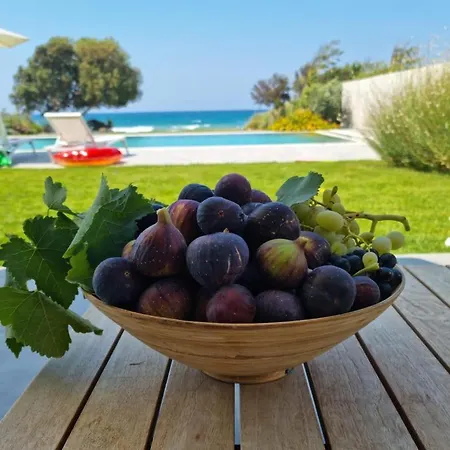 Willa Ramann, Rhodes