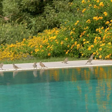 Willa Ramann, Rhodes