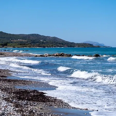 Willa Ramann, Rhodes Fánai