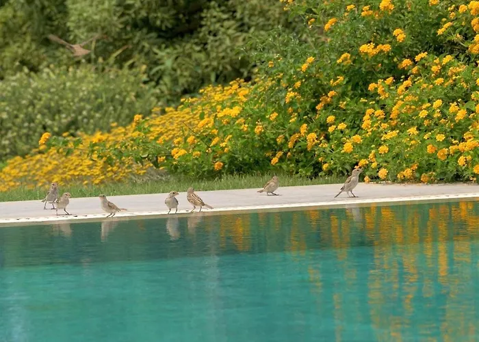 Вилла Ramann, Rhodes